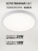 Потолочный светильник Plain LED LAMPS 81113/2C