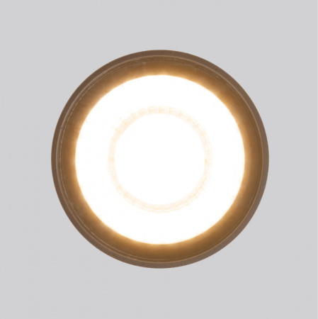 Уличный потолочный светильник Elektrostandard Light LED 35132/H черный