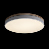 Потолочный светильник Axel Loft It 10001/36 White
