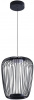Светильник подвесной Arte Lamp Flare A3528SP-12BK