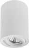 Накладной светильник Arte Lamp Sentry A1566PL-1WH