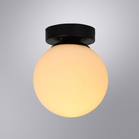 Светильник потолочный Arte Lamp Alcor A2224PL-1BK