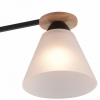 Люстра на штанге Reluce 01625-1 01625-0.3-03 BK+WOOD