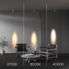 Спот Focus Led C055CL-L12W4K-SS-W