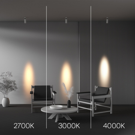 Спот Focus Led C055CL-L12W4K-SS-W