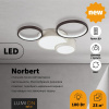 Потолочная люстра Norbert 5253/64CL