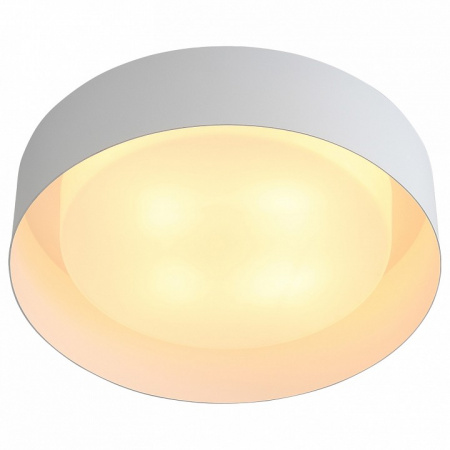 Светильник потолочный ST Luce Chio SL392.502.04