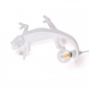 Настенный светильник Chameleon Lamp 15092
