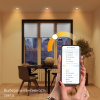 Точечный светильник Smart Home 2020122