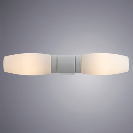 Настенный светильник Aqua-bastone A1209AP-2WH