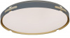 Потолочный светильник Paneli LDC 8063-48W BL