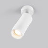 Спот Elektrostandard Diffe a058245