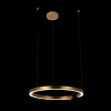 Подвесной светильник Ring 10013L