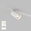 Трековый светильник Denkirs DK8010-WH