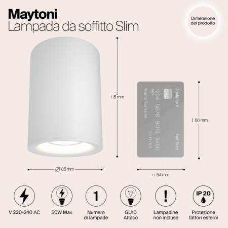 Накладной светильник Maytoni Alfa C012CL-01W