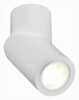 Накладной светильник ST Luce St650 ST650.502.01