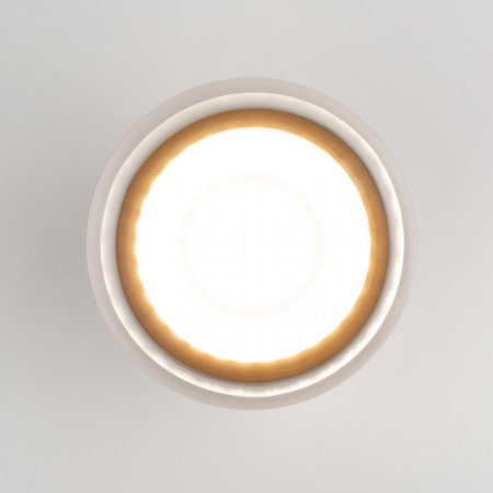 Уличный потолочный светильник Elektrostandard Light LED 35140/H белый