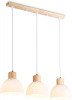 Подвесной светильник Traditional TR83135