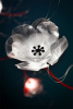 Подвесной светильник Poppy POPSL00PRR03SLD000EU