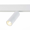 Трековый светильник ST Luce Lemmi ST365.536.12