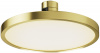 Трековый светильник Maytoni Plato TR153-1-10W3K-BS