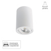 Накладной светильник Arte Lamp Sentry A1560PL-1WH