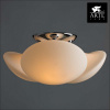 Потолочная люстра Aqua-sfera A2550PL-3CC