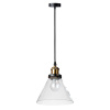 Подвесной светильник Factory filament Loft It LOFT1123
