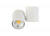 Точечный светильник Eva A1594White/RAL9003