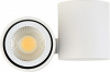 Точечный светильник Eva A1594White/RAL9003