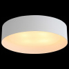 Светильник потолочный ST Luce Chio SL392.502.04