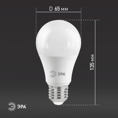 Лампочка светодиодная LED A65-21W-827-E27
